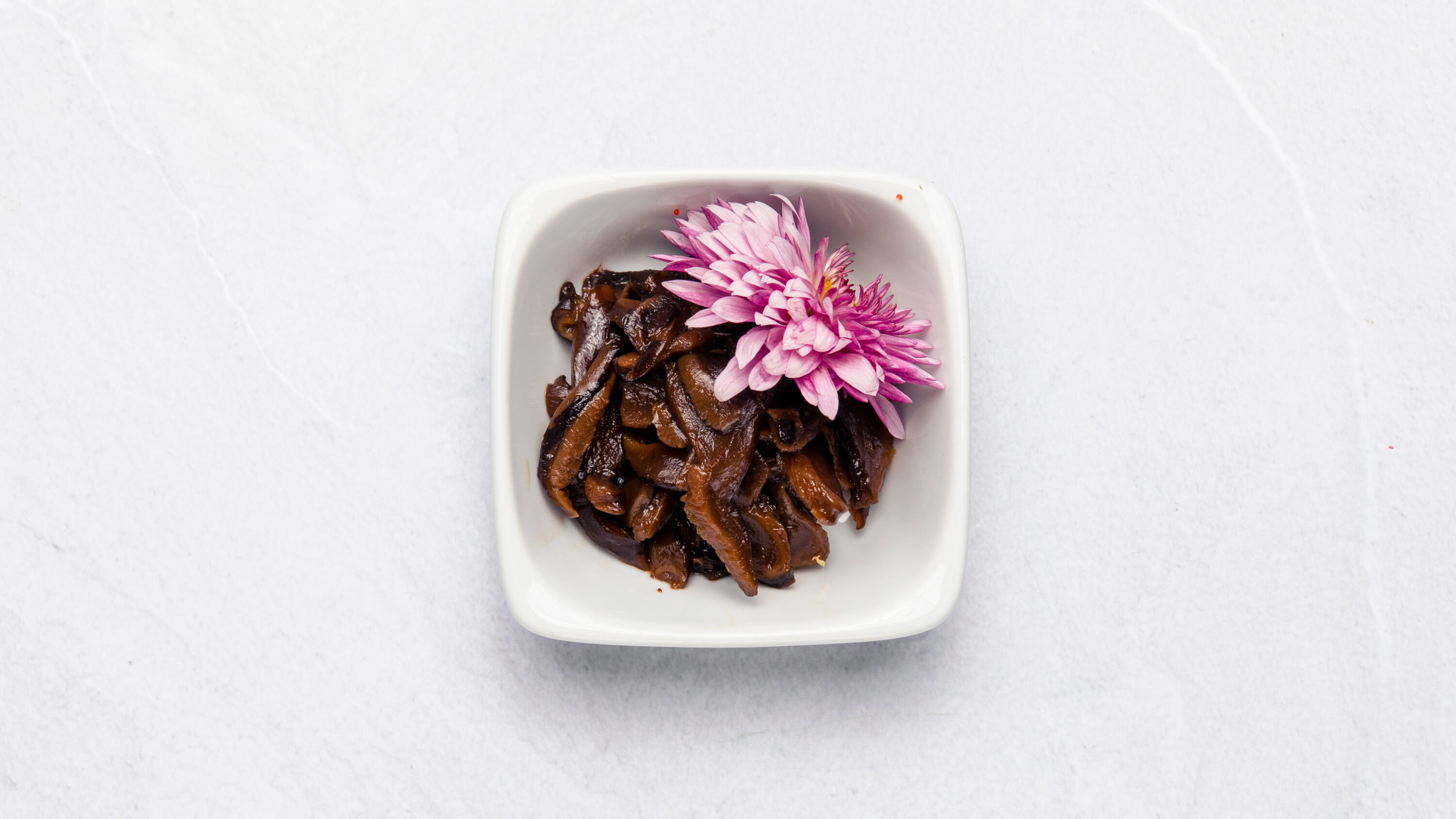 Shiitake svamp Shiitake svamp